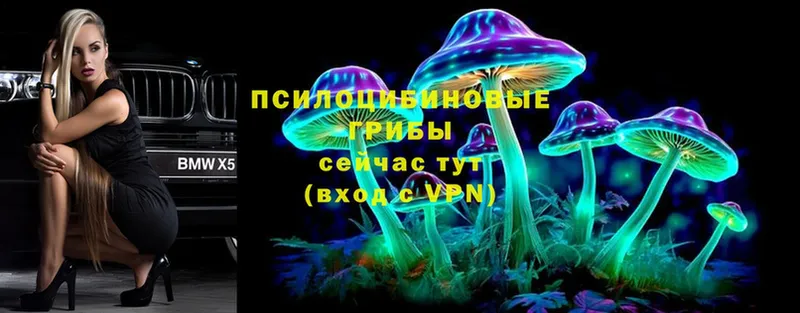 наркота  Камень-на-Оби  Галлюциногенные грибы MAGIC MUSHROOMS 